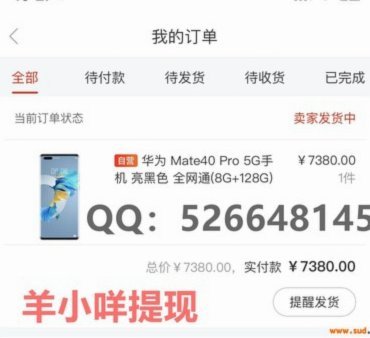 羊小咩不能提现吗