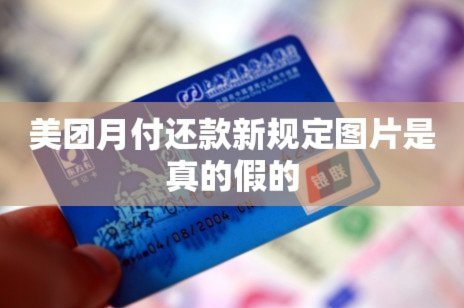 美团月付“套现”：背后的股权运作