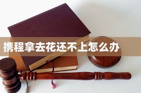 拿去花取现在哪里 出来还款