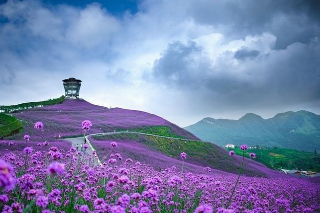 花呗秒提：机遇与陷阱