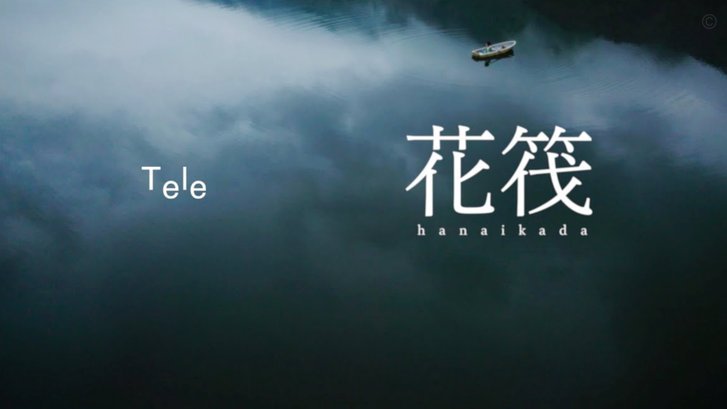 花呗为啥额度为0