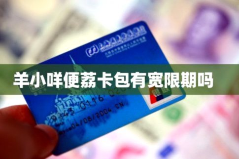 便荔卡包取现提现中稳吗
