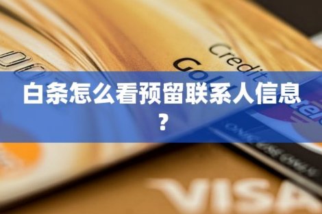 白条联系人信息查询：安全验证与管理指南