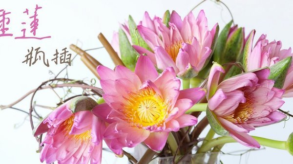 花呗套现平台靠谱吗？深度揭秘资金流向与法律风险