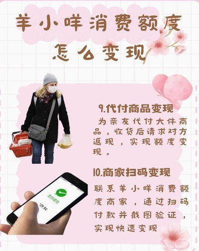 羊小咩额度背后，不止是资源