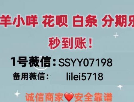 羊小咩额度怎么用