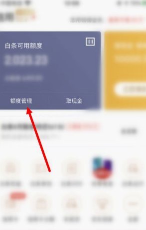 2021白条额度怎么取出来