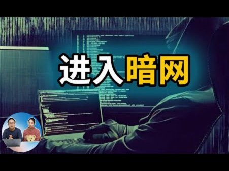 能使用白条的平台