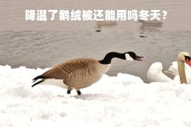 美团月付提现手续费