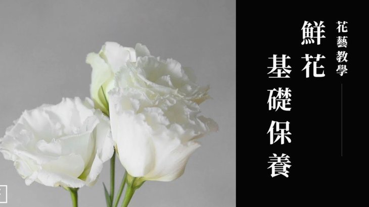 花呗如何提现出来