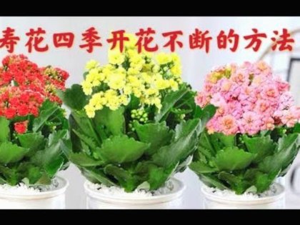 携程拿去花怎么用