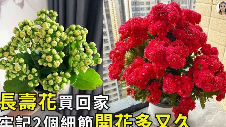 携程拿去花怎么用