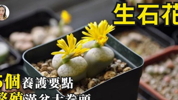 携程拿去花怎么用
