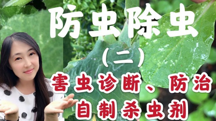 还了花呗套现，你的信用会受影响吗？