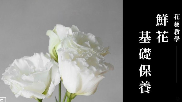 花呗提现到银行卡全攻略