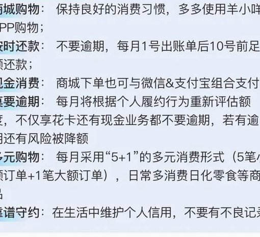 羊小咩临时额度