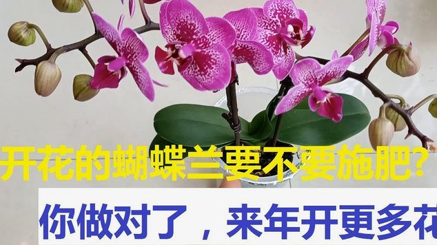 花呗到底安全吗？