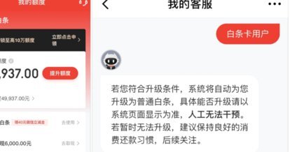 白条额度怎么调整？