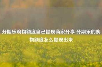 分期乐购物额度如何提取？