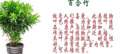 得物佳物分期怎么使用