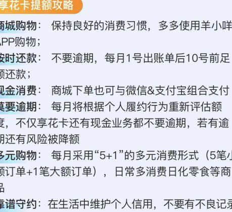 羊小咩临时额度获取技巧