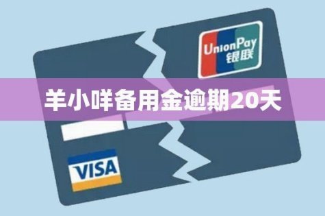 羊小咩贷款全解析
