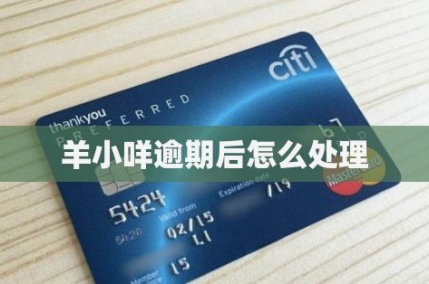 羊小咩怎么贷款