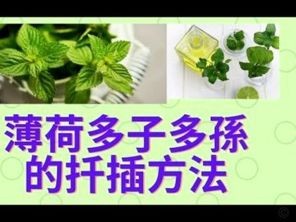 拿去花卡提现遇阻怎么办？