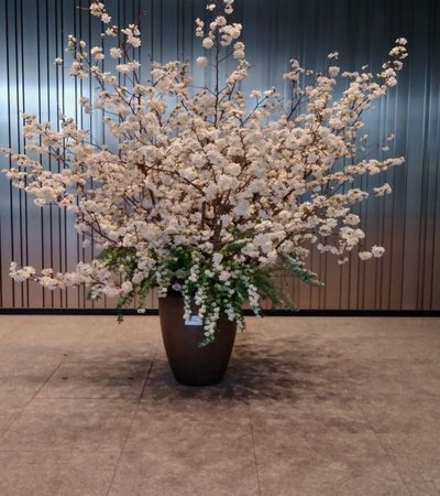 花呗什么时候能还款？周期和时间节点全攻略