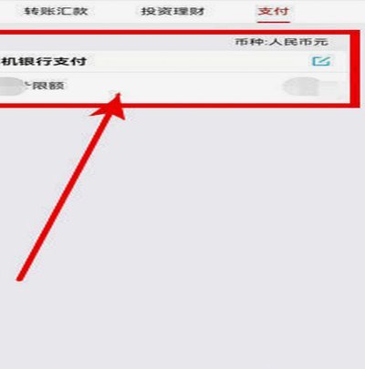 得物单笔金额超限怎么办?