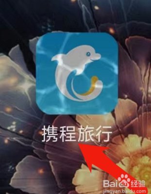 携程拿去花可以购物吗