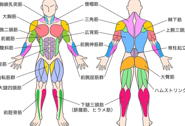 京东白条怎么开通