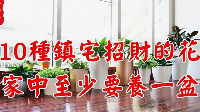 商家套花呗要手续费吗