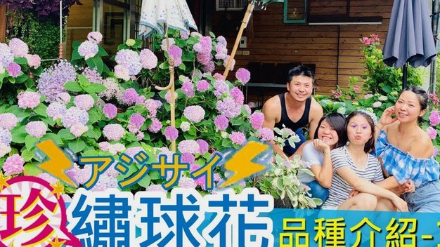 套花呗有没有手续费
