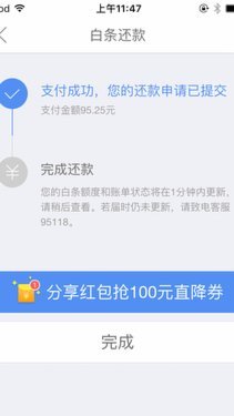 白条延期还款指南