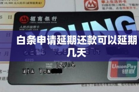 白条怎么申请延期还款