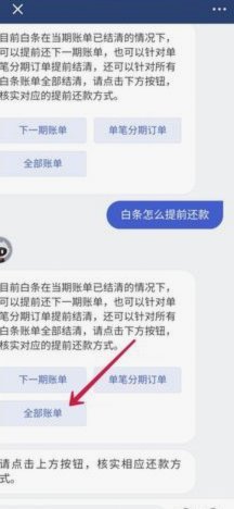 白条怎么申请延期还款
