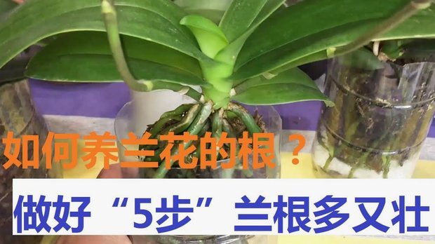 携程拿去花怎么套出来