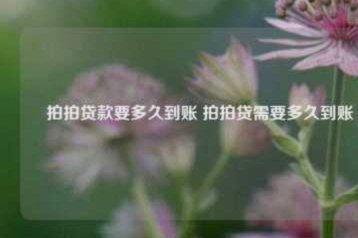 拍拍贷款怎么借钱到银行卡