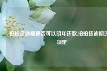 拍拍贷款怎么借钱到银行卡