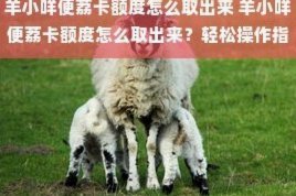 羊小咩在哪里申请额度