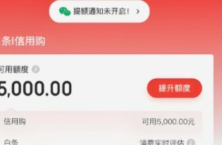 白条秒到取现操作风险